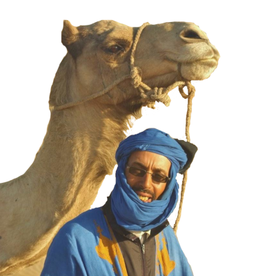 Specialist of camel's trekking